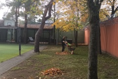 Wychowanka zbiera zagrabione liście na taczkę. Obok widać fragment boiska do koszykówki oraz duże drzewa.